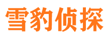 那坡寻人公司